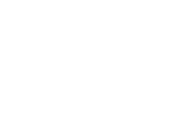 Sprint logo featuring stylized text and a dynamic design element, representing branding in commercial printing services.